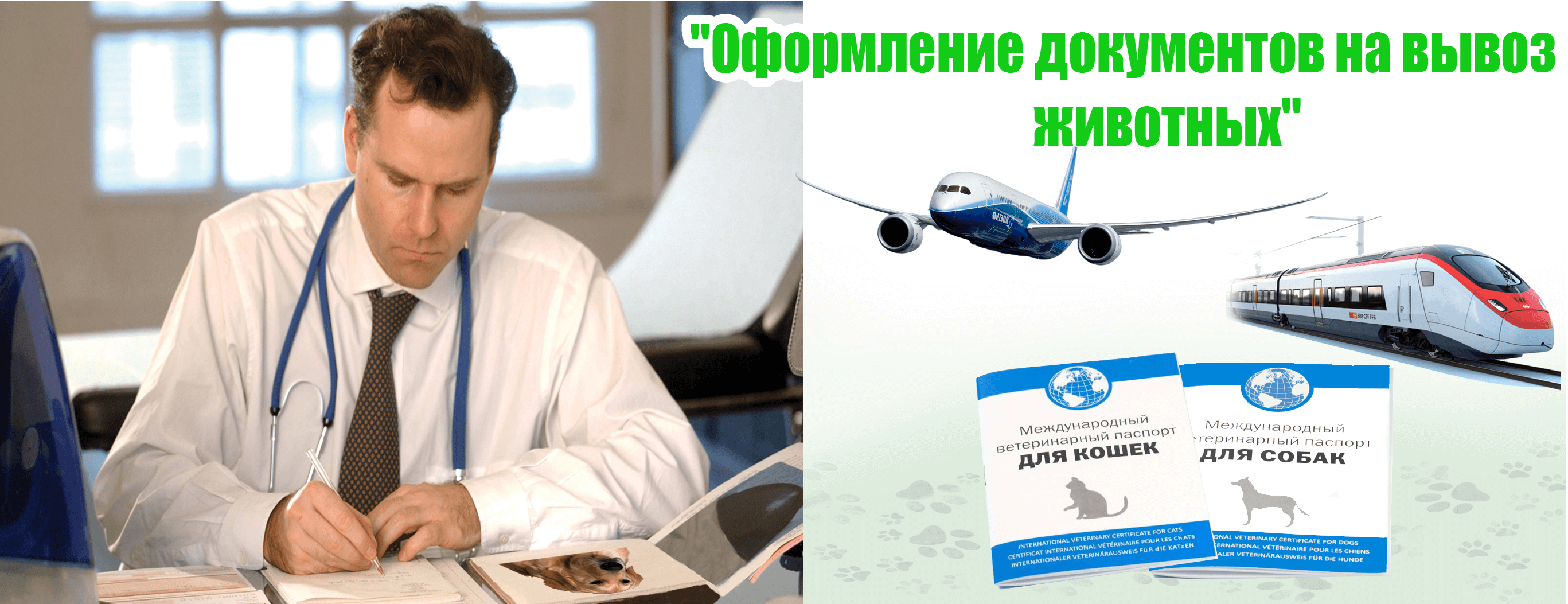 ДОКУМЕНТЫ НА ВЫВОЗ ЖИВОТНЫХ